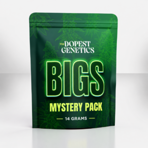 Mystery Pack 14 grams BIGS