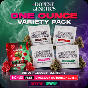 ONE OUNCE BIGS VARIETY PACK + FREE 100MG SOUR WATERMELON CUBES GUMMIES