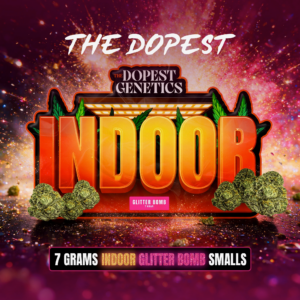 Indoor Smalls: Glitter Bomb Indica flower 7 grams